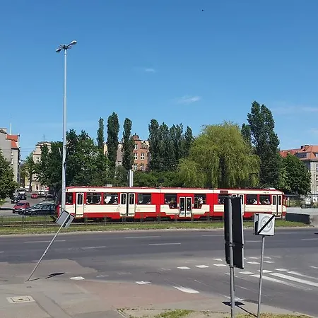 Alicja Iii *
